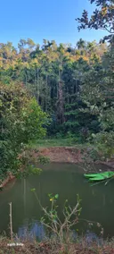 Isiri river side stay / Netravati - Image 5