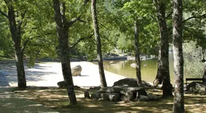 El Descanso de Sanabria - Image 4