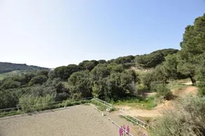 HomeHolidaysRentals Golions - Image 1