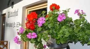 Appartementhaus Wildbachhof - Image 5