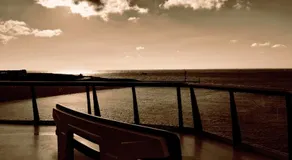 Private Logies Texel Woodart - Image 4