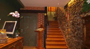 Posada Los Gallos - Image 5