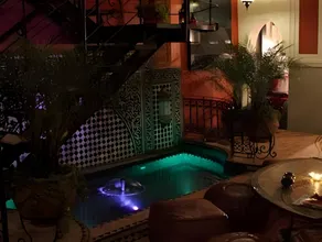 Riad Kantarell - Image 3
