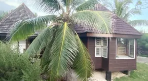 Fare Mama Fenua plage baleines Moorea Temae - Image 5