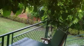 la villa des chats - Image 2
