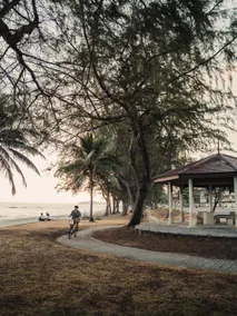Club Tree Hotel - Image 5