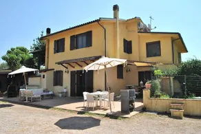 Saha tourist accommodation among olive trees and sea view - Image 5