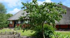 Thurup Hus - Image 3