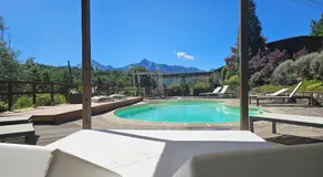 Spino Fiorito Stay - Image 4