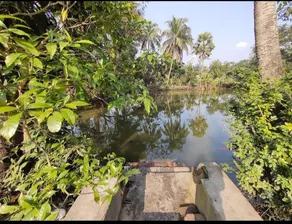 Amullya Kanan Villa, Sundarban - Image 3