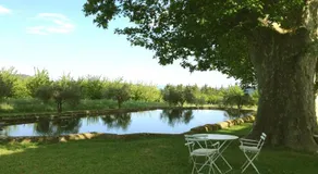 Domaine la Carraire - Image 3