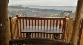 Tree House - Image 4