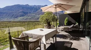 Chalet Agave- Adults only - Image 2