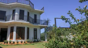 Dream Stay Green - Image 5