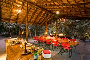 Jamtara Wilderness Camp - Pench National Park - Image 5