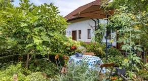 Appartement confortable \"Alina\" avec terrasse de jardin et Wi-Fi, non-fumeur - Image 4