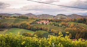 Weingut Leopold Dietrich - Image 5