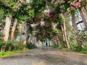 H2 Homestay - Ecopark, Văn Giang, Hưng Yên - Image 3