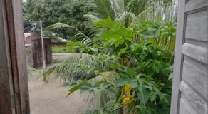 Jardim dos Anjos - Image 4
