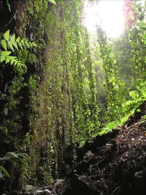 La Palma Sun Nudist - Image 2
