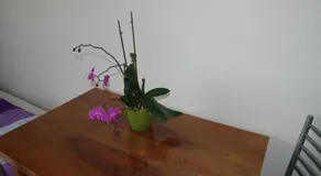 Hostel Humpolec - Image 4