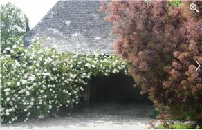 Le Neufbosc - Image 4