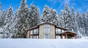 Chalet Pamporovo - Image 5