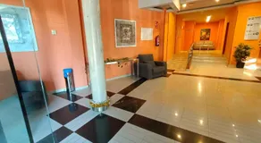 Lugomar-Feijoo - Image 4