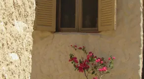 Lotus House - Image 5