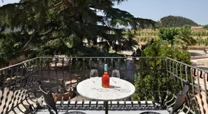 Hotel Dosterras - Image 3