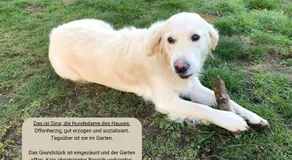 Voll ausgestattete tolle Wohnung mit Garten | Hunde erlaubt - Image 5