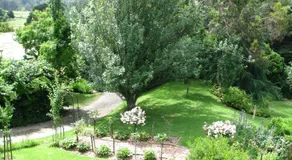 Leafield Cottages - Image 5