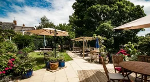 Stag's Head - Image 5