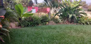 Royal Pine Cottages And Hotel - Image 4