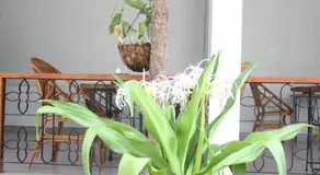 My Parents Guesthouse - Image 4