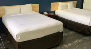 ROYALINN - Image 4