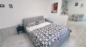 Coccinella house - Image 2