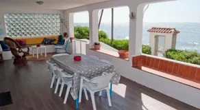 Sargantana Blava - Image 5
