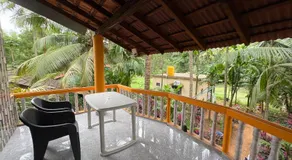 Areca Nest - Image 3