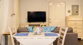Renovated Studio, steps to MGH, Suffolk, Sleeps 4 - Image 5