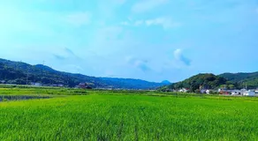 Casa di Micia みぃちゃの家 - Main house - Image 3