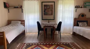 Authentic farmhouse (Söjtöry-Domonkos Ház) - Image 2