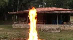 Vila Dravida Petar - Image 3