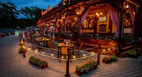 Pensiune Restaurant Lyra - Image 2