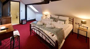 Zámek Wichterle - Hotel a pivní lázně - Image 2
