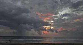 Om Paradise at turtle beach - Image 5