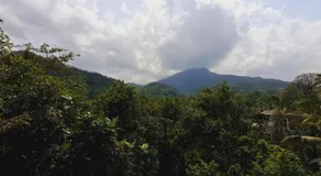 38 guest house - Image 5