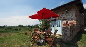 Casali del Picchio - Winery - Image 5