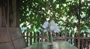 Finca Lindos Ojos - Image 3