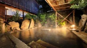 Yudanaka Seifuso - Image 3